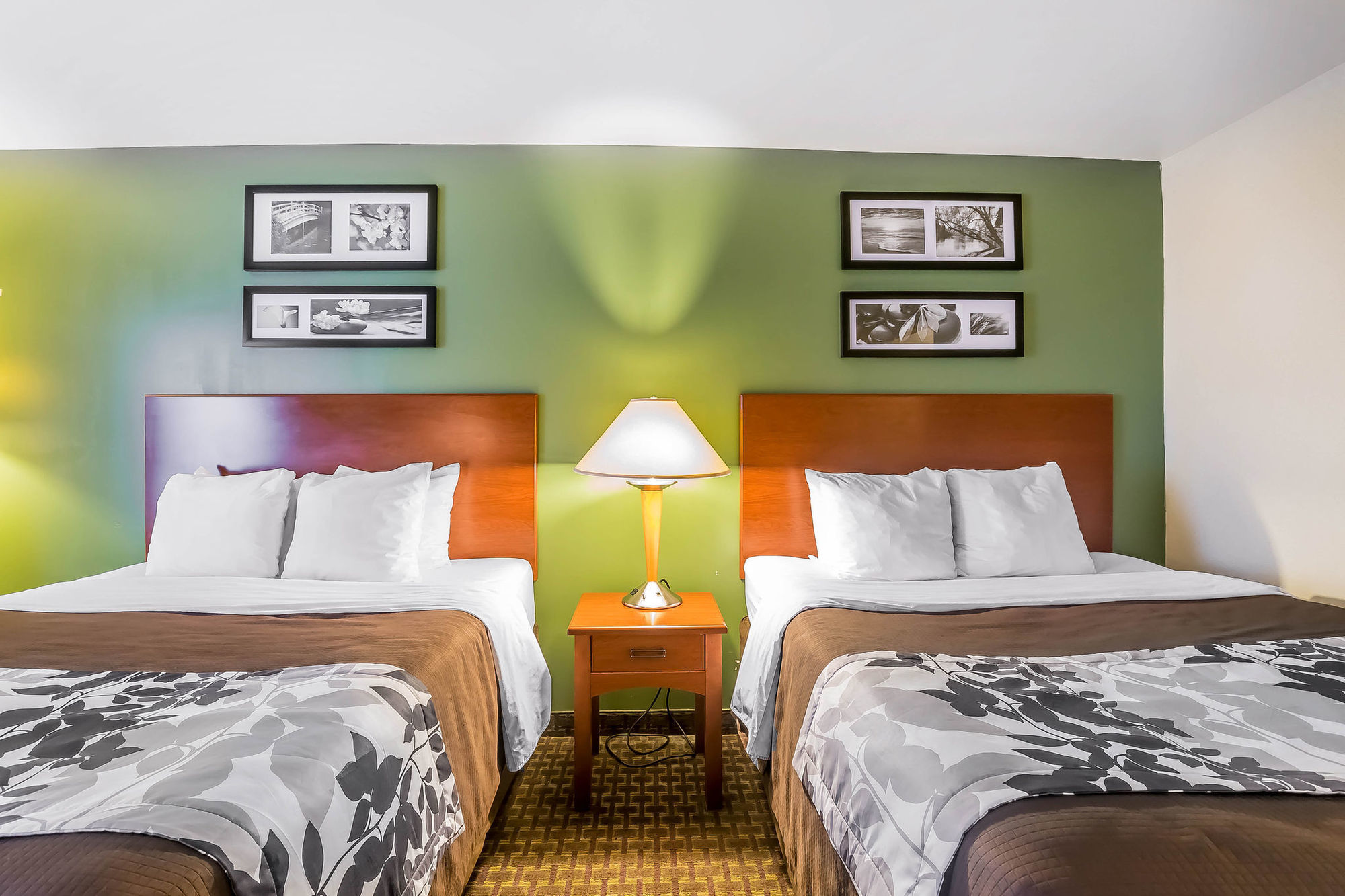 Spark By Hilton Shepherdsville Louisville South Rum bild